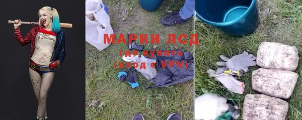 стаф Беломорск