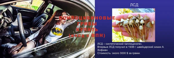 хмурый Балабаново